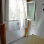 דירה The Cozy *
