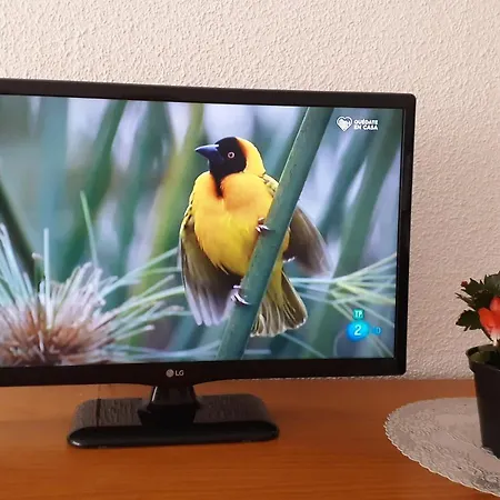 The Cozy Daire Torrevieja