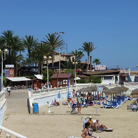 The Cozy Torrevieja